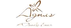 Danielle Nunes Consultoria & Cerimonial